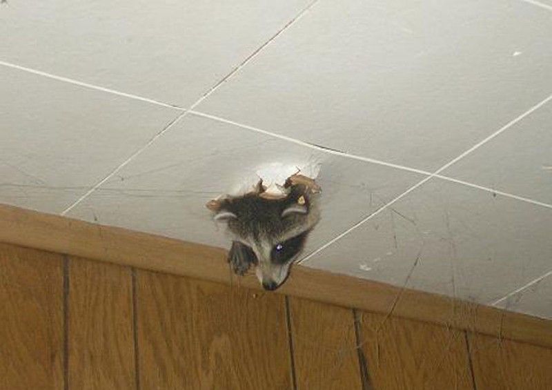 Что ты там потерял ?