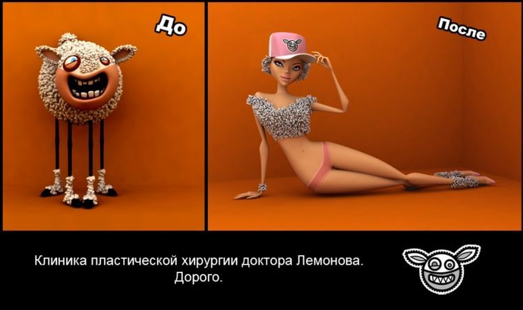 ������������ ��������
