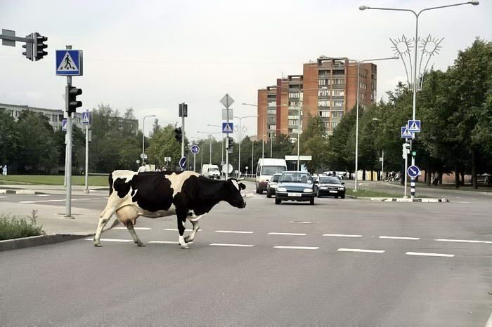 ��� �� �������