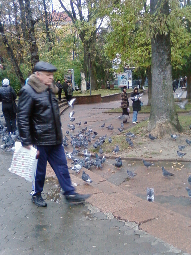 Голуби возле бювета