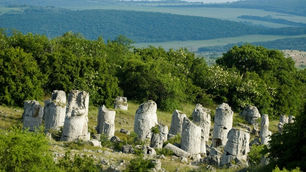 Каменный лес