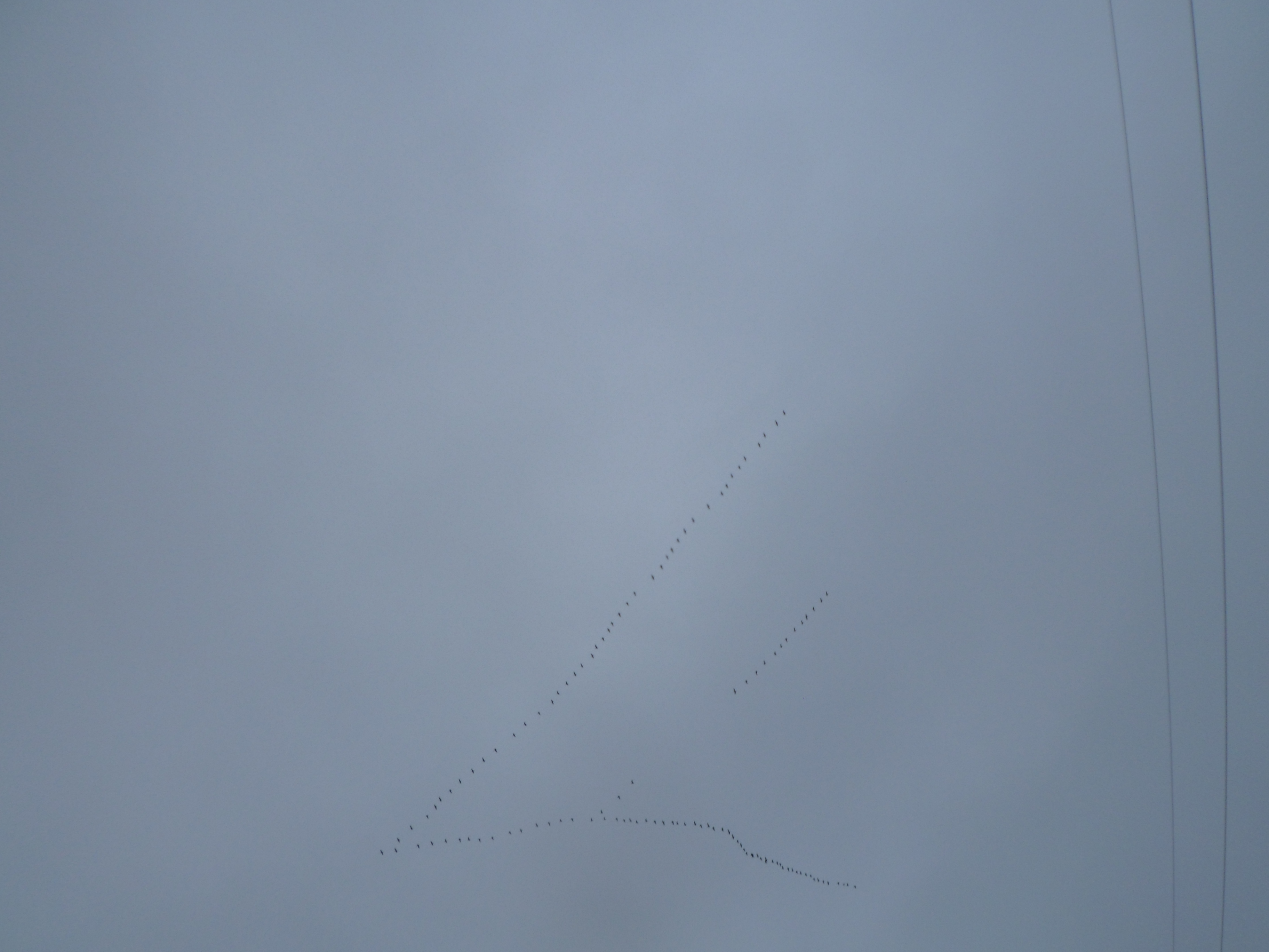 ���� � ������ ���� ������������