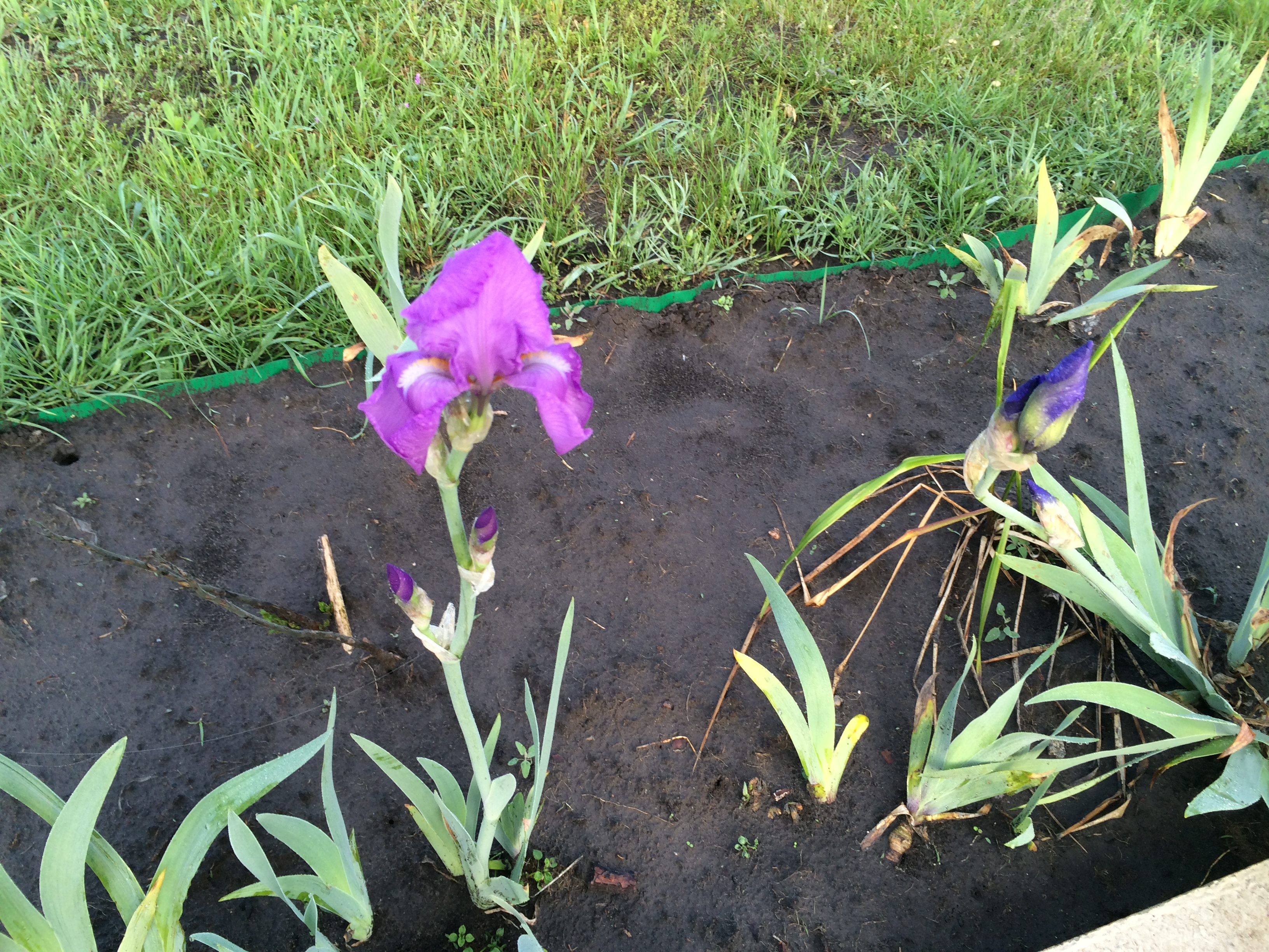 ��� ������� ������� ��� �3