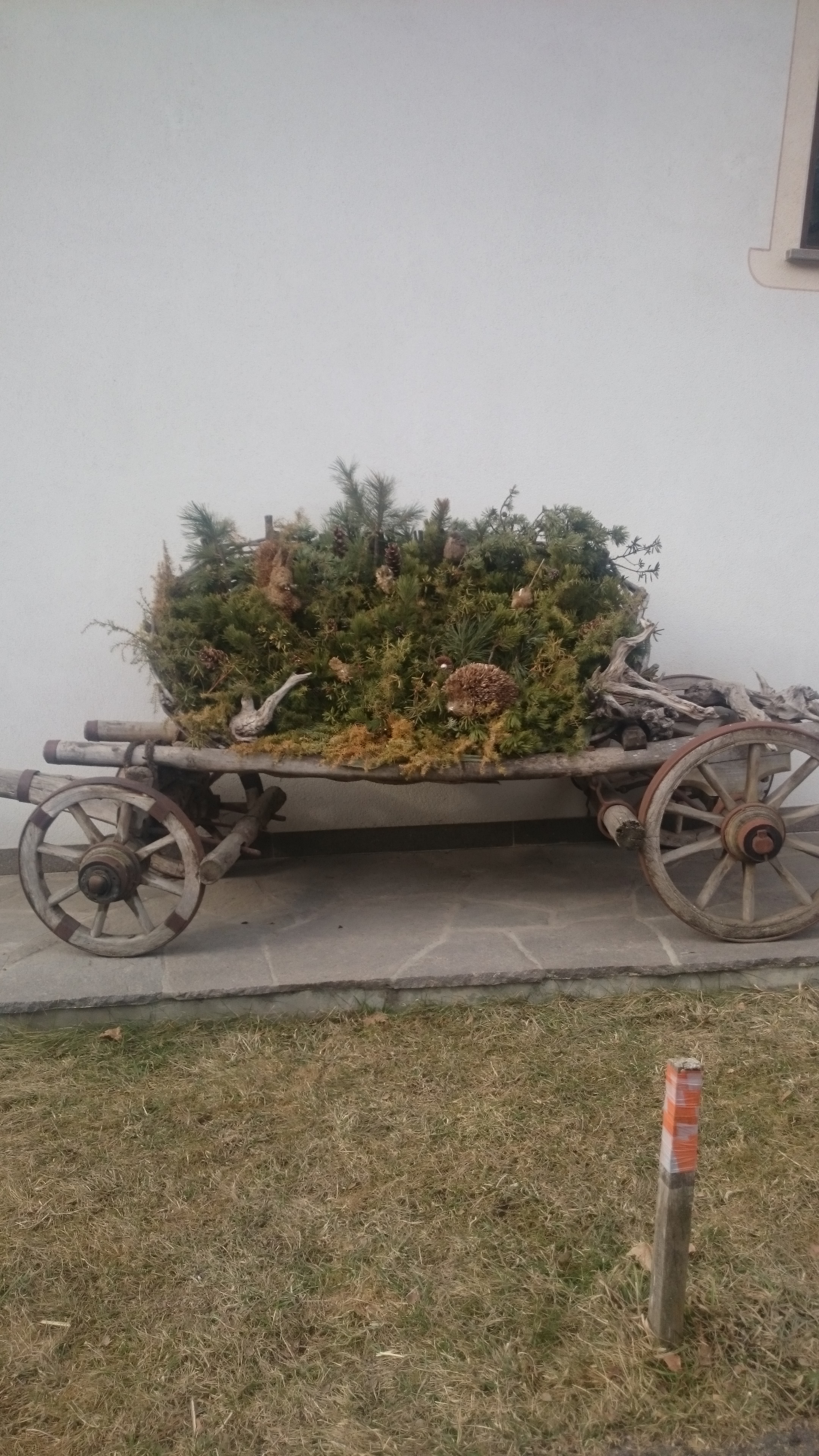 Воз есть, лошади нет