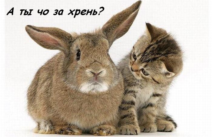 �� ��� ?