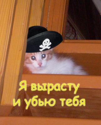 ��� �����