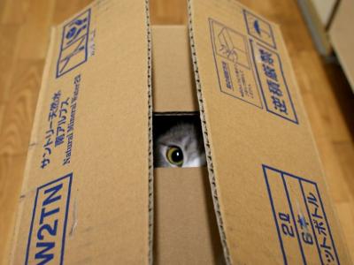 � � ��� ����
