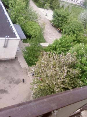 ��������� ������ ����������