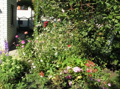 ������ �����, ������� ����� ������